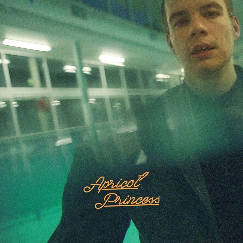 Rex Orange County - Apricot Princess  LP LP